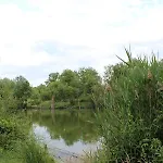 Les Granges D'antan - Le Refuge Forestier - Insolite Sans Eau - Electricite Avec Batterie Nomade אוהל מפואר Chalonnes-Sous-le-Lude