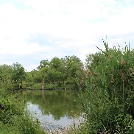 Les Granges D'antan - Le Refuge Forestier - Insolite Sans Eau - Electricite Avec Batterie Nomade Glamping Chalonnes-Sous-le-Lude
